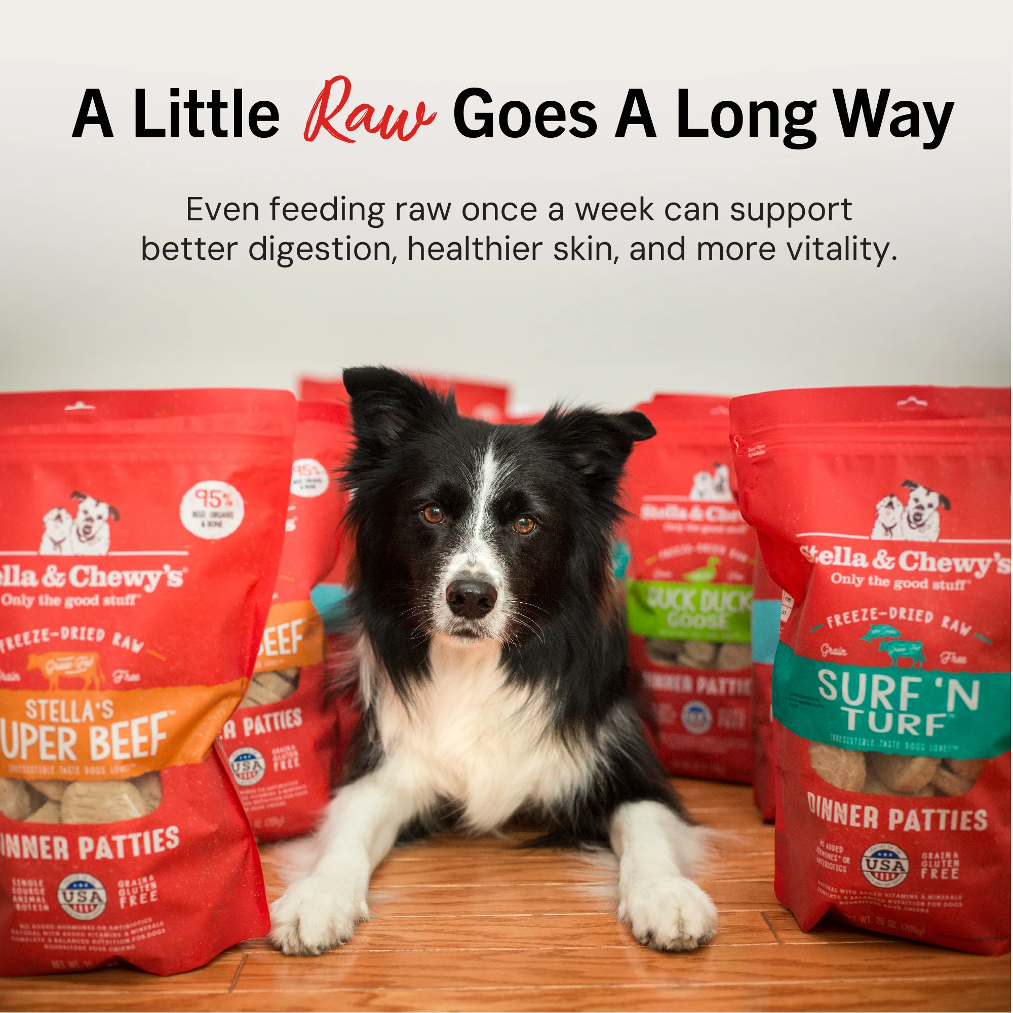 Duck Duck Goose Freeze-Dried Raw Dinner Patties for Dogs - Image 7