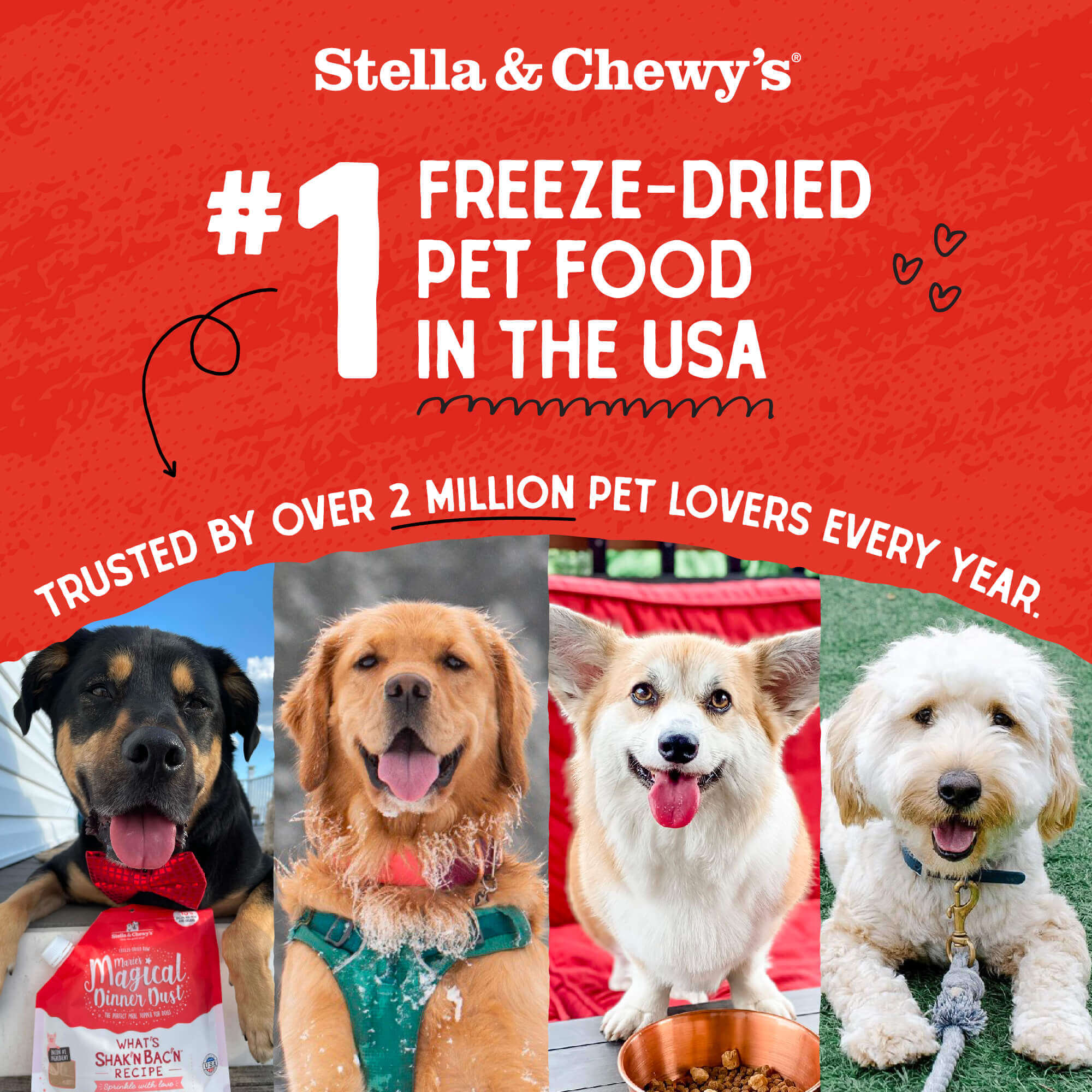 Beef Heart Treats for Dogs - Image 6