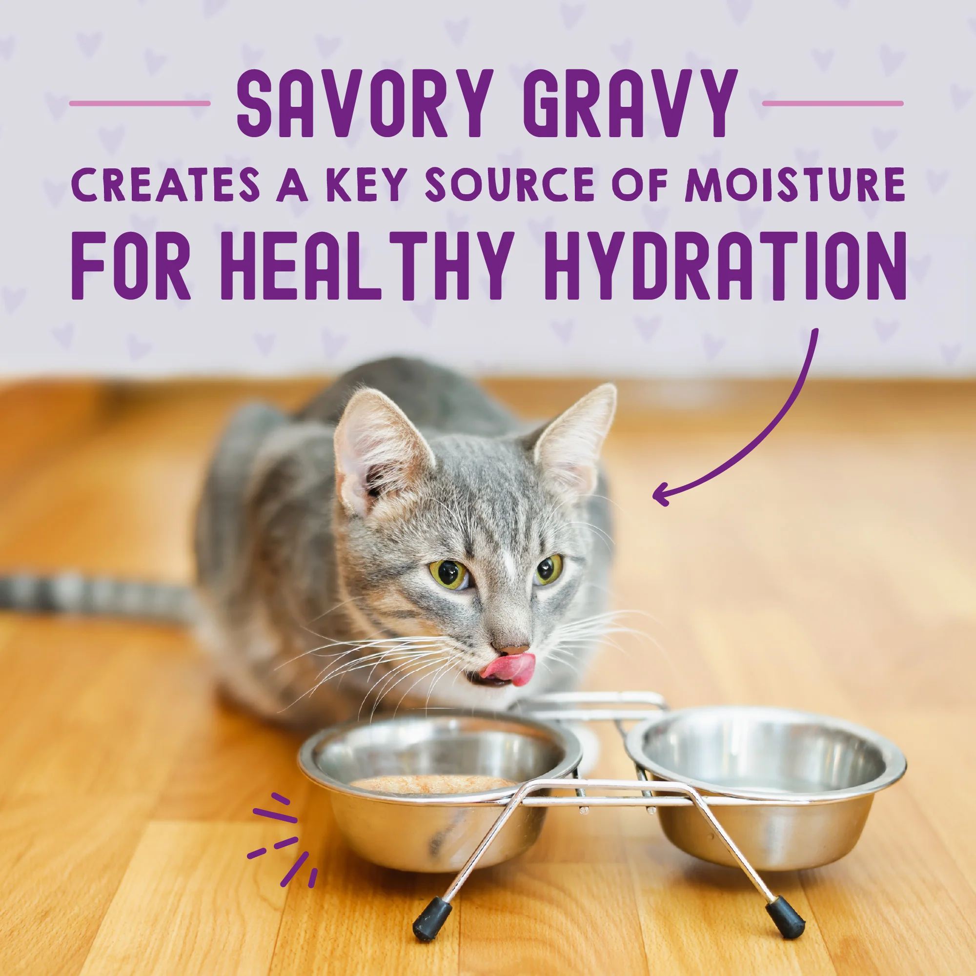 Carnivore Cravings Morsels'N'Gravy Salmon & Mackerel Recipe for Cats - Image 6