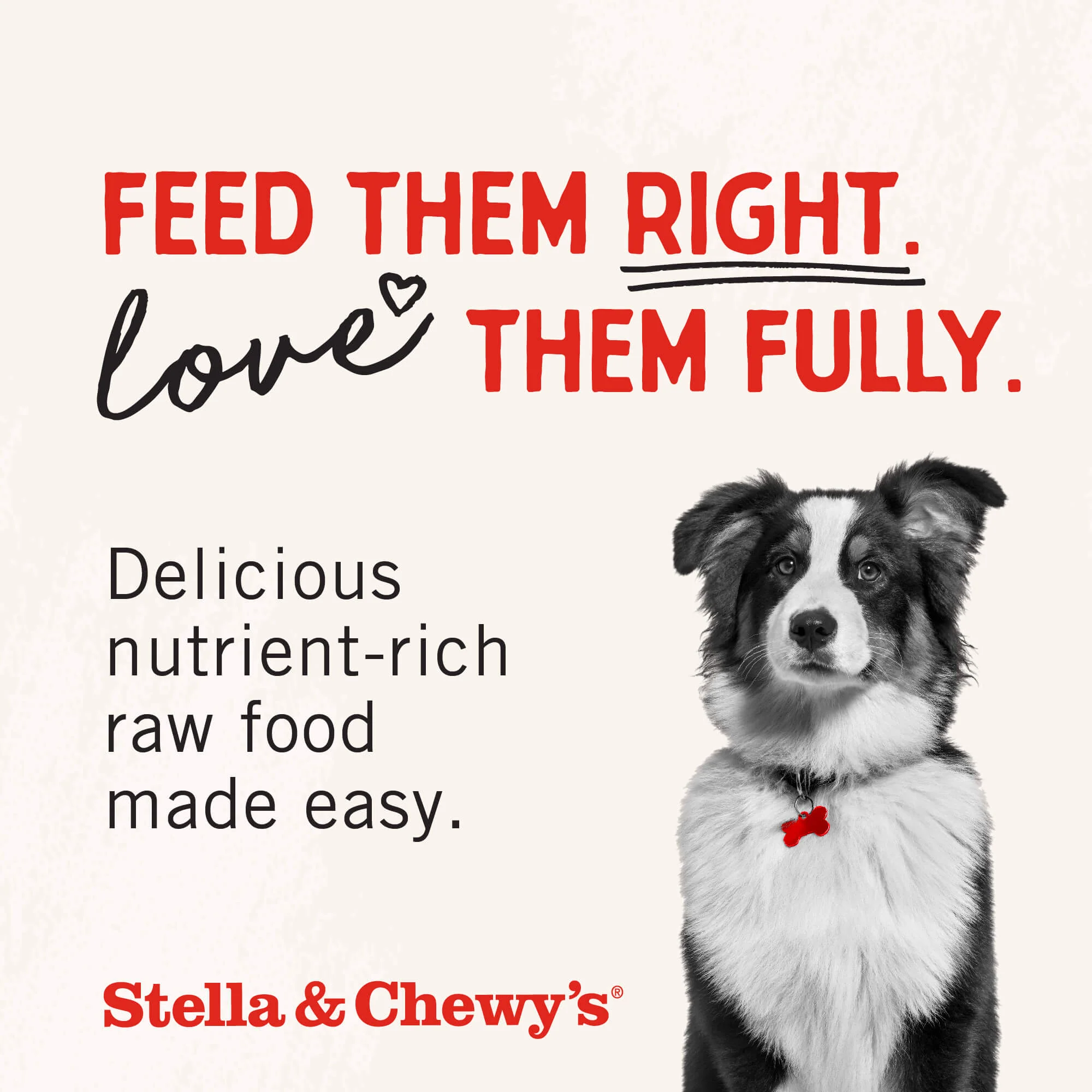 Chicken Breast Treats for Dogs - Image 9