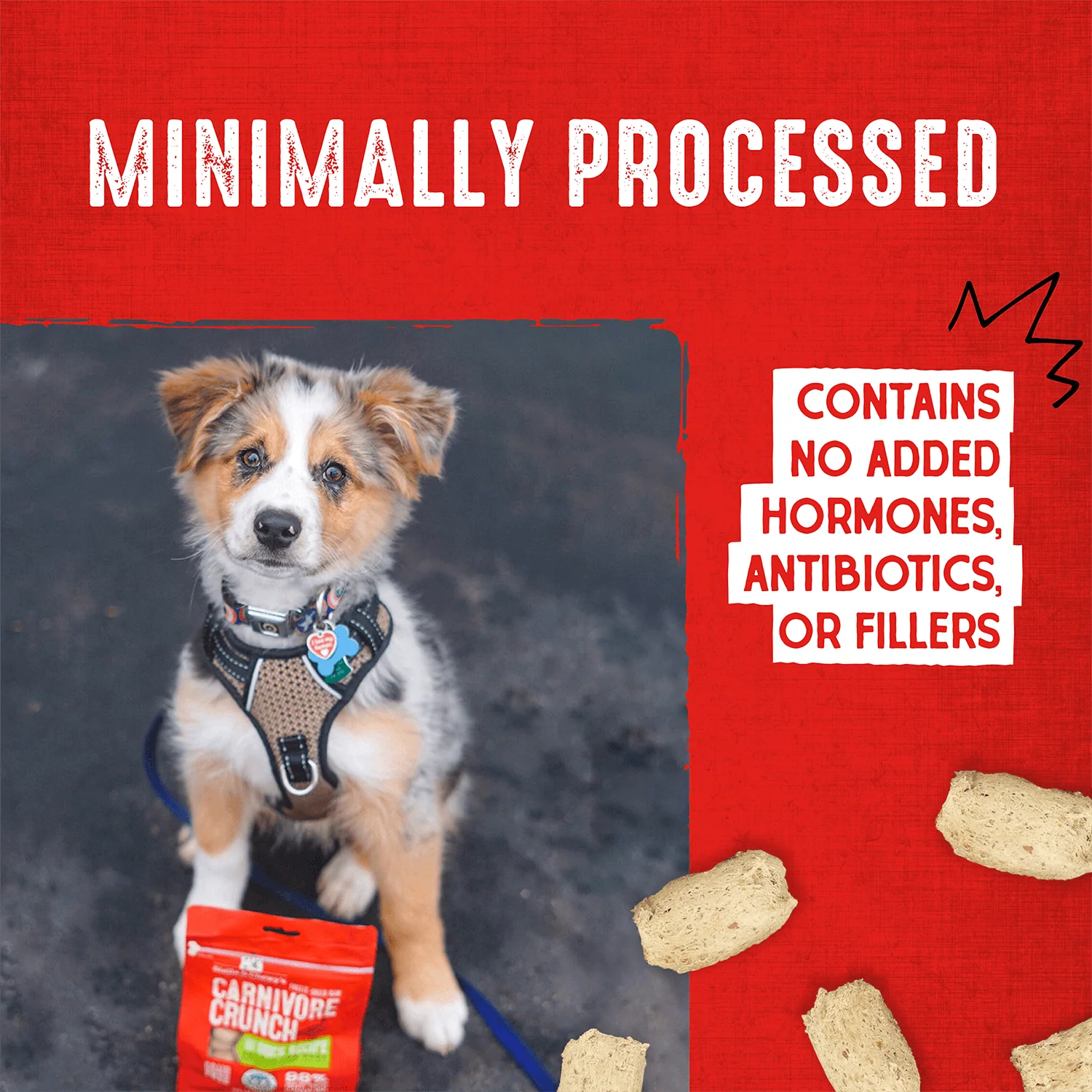 Duck Carnivore Crunch for Dogs - Image 7