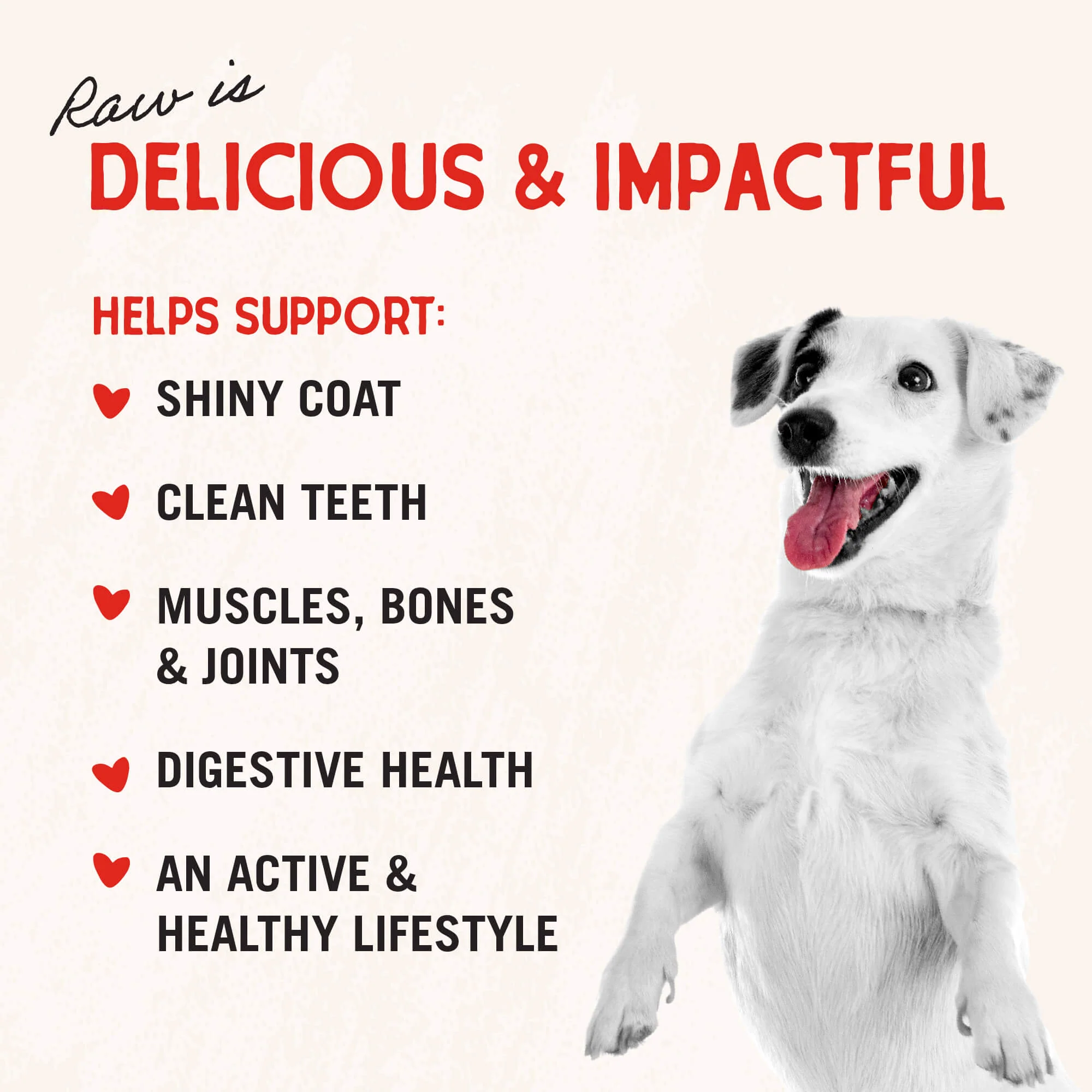 Lamb Liver Treats for Dogs - Image 5