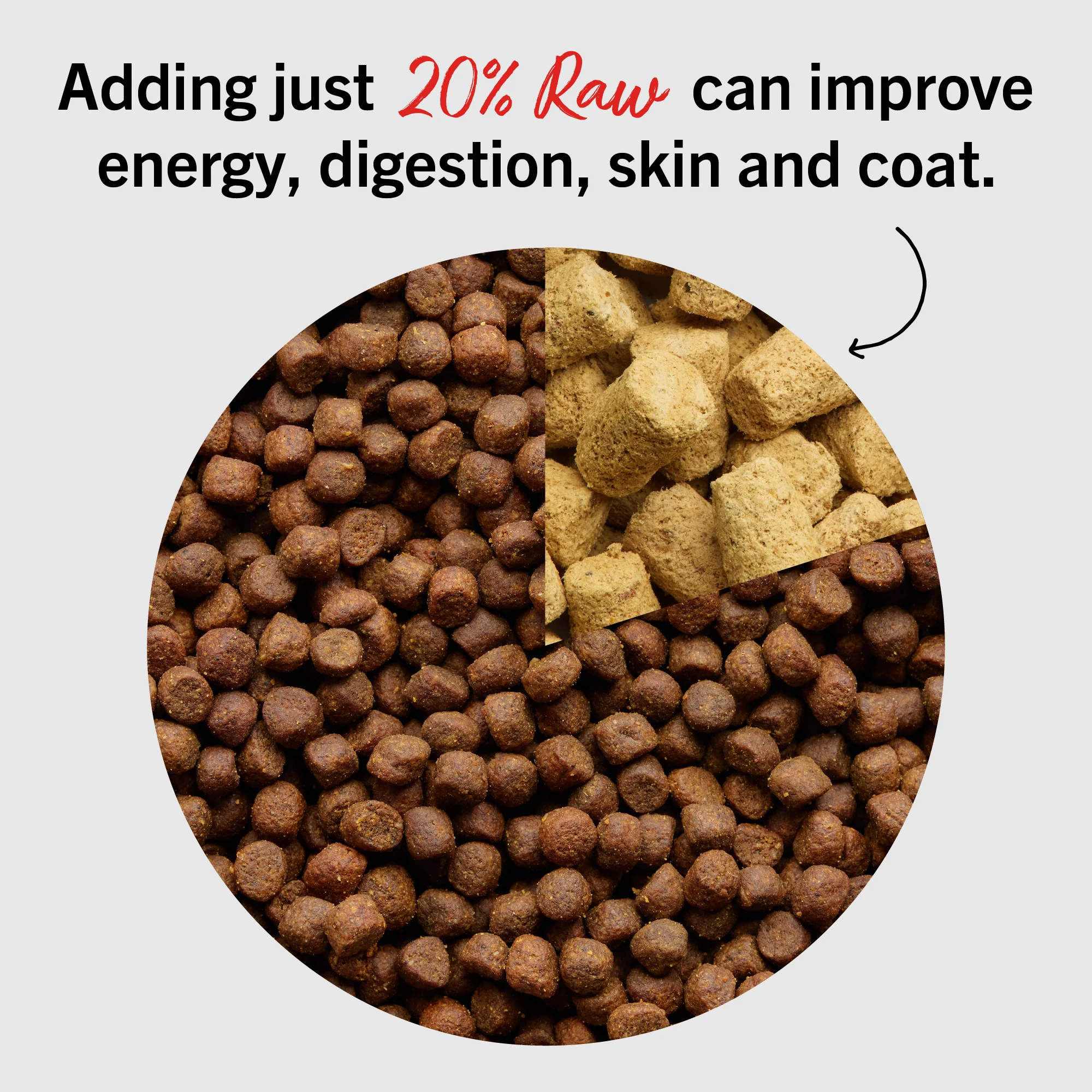 Tantalizing Turkey Meal Mixers for Dogs - Image 8