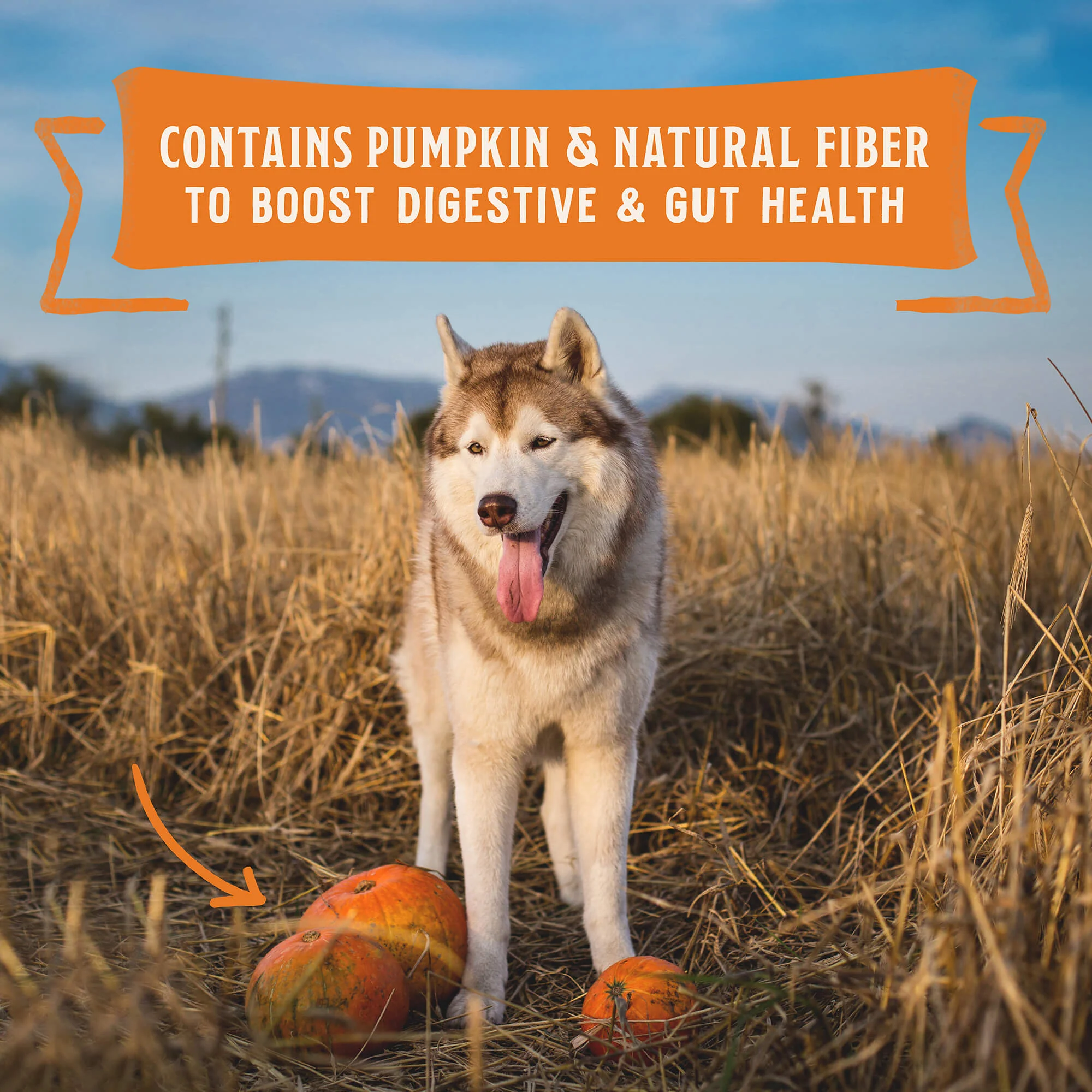 Wild Red Chicken & Turkey Stew for Dogs - Image 6